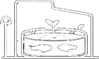 MV Aquacultureシステム